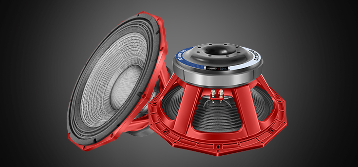 Speaker 5