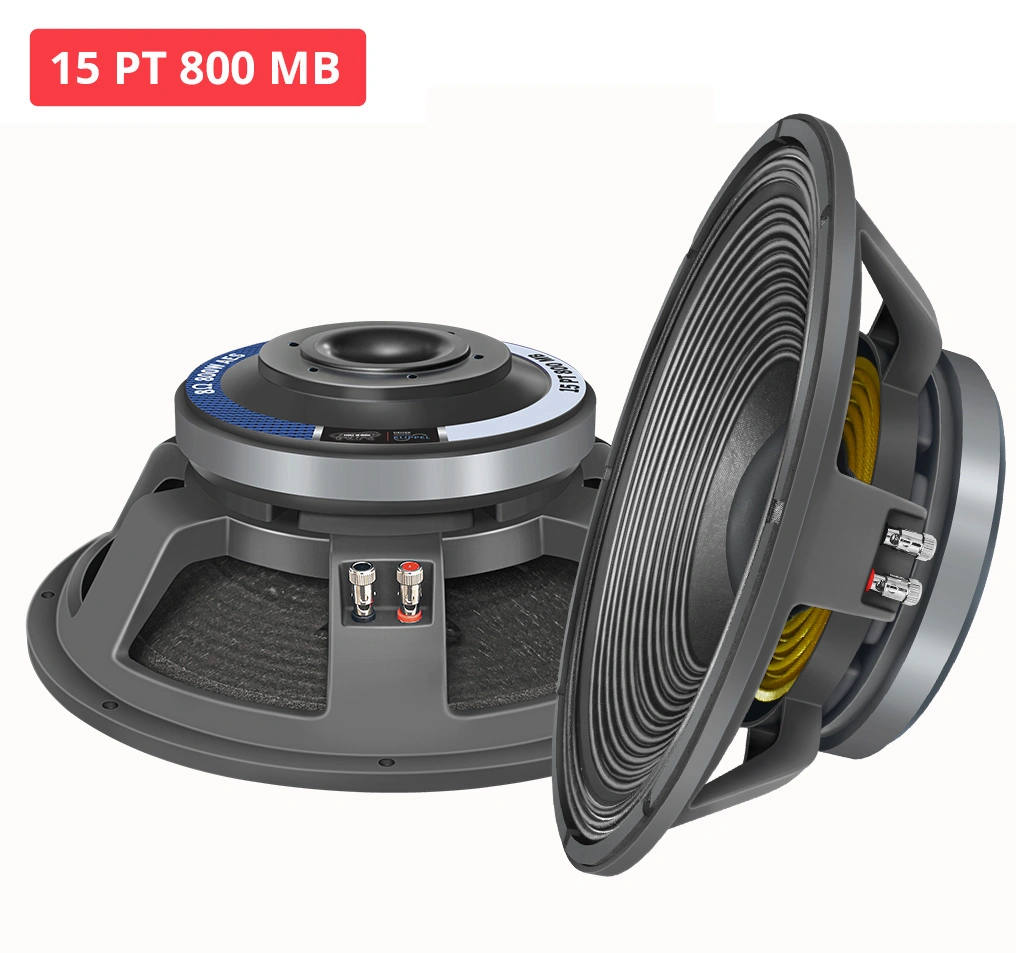 15 PT 800 MB