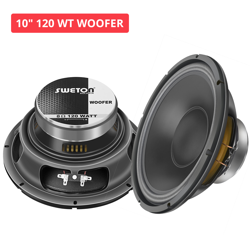 10" 120 WT WOOFER